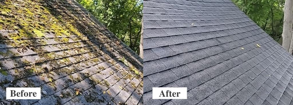 Niceville Florida roof cleaning